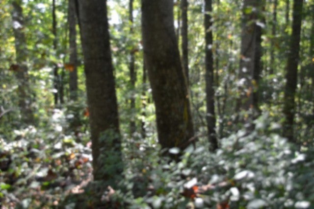 2121 Riley Creek Rd