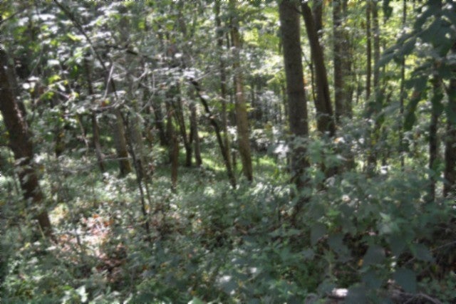 2121 Riley Creek Rd