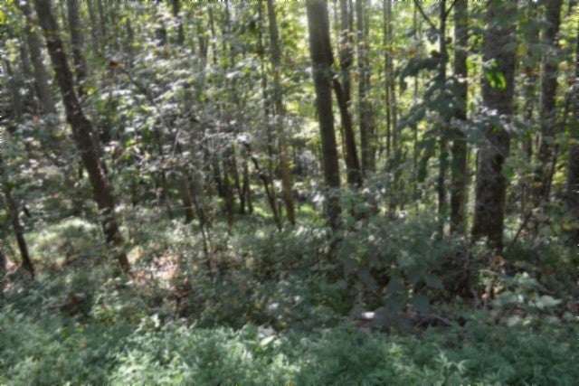 2121 Riley Creek Rd