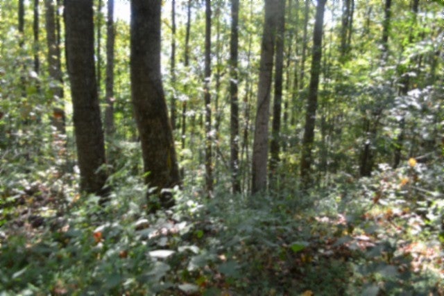 2121 Riley Creek Rd