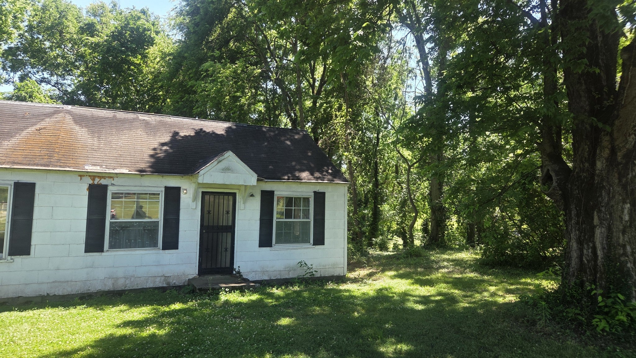 315 Haywood Ln