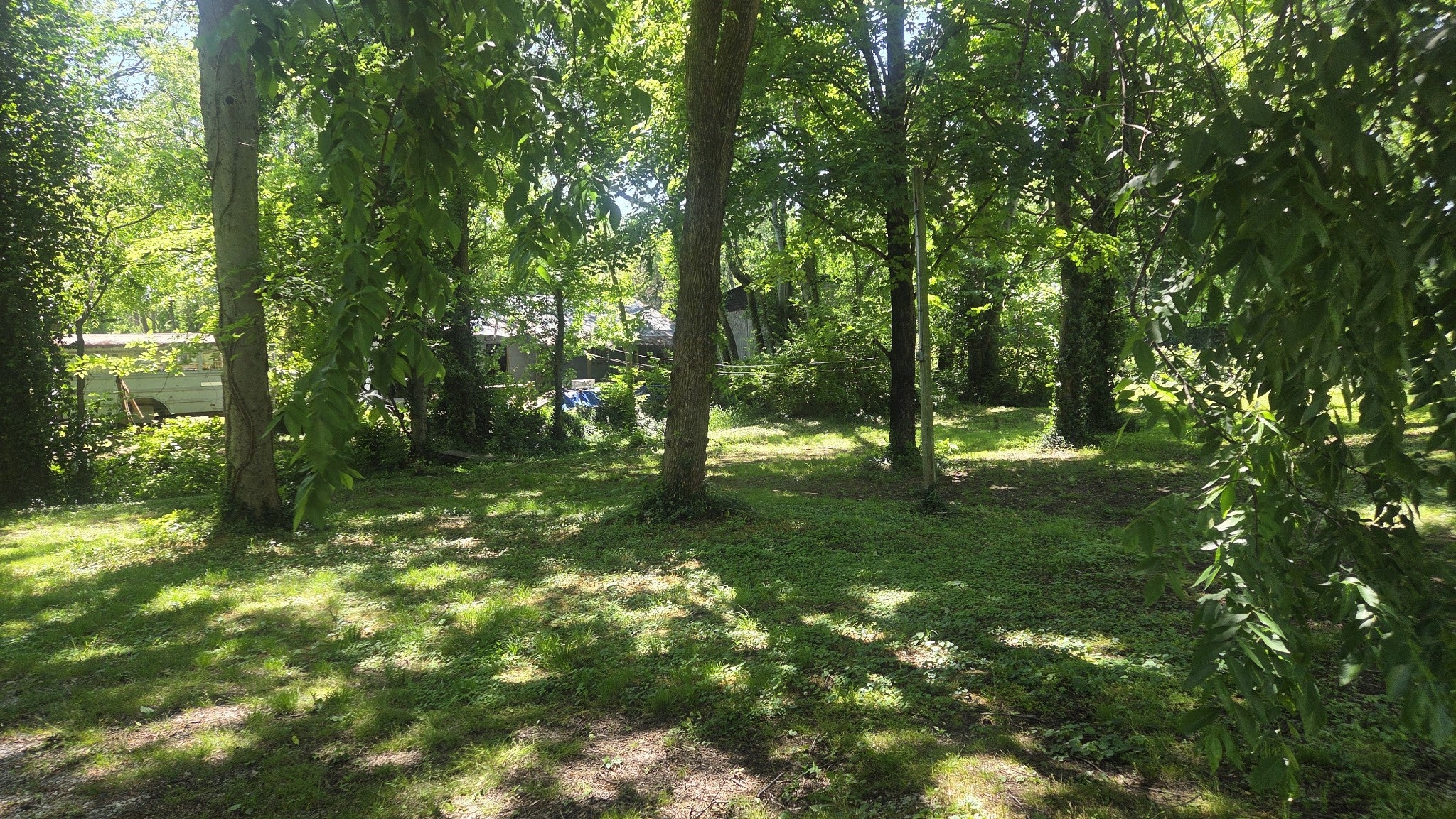 315 Haywood Ln