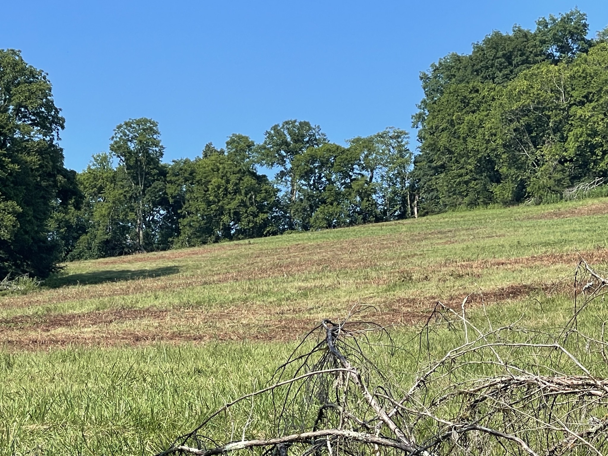 0 Spring View Lane