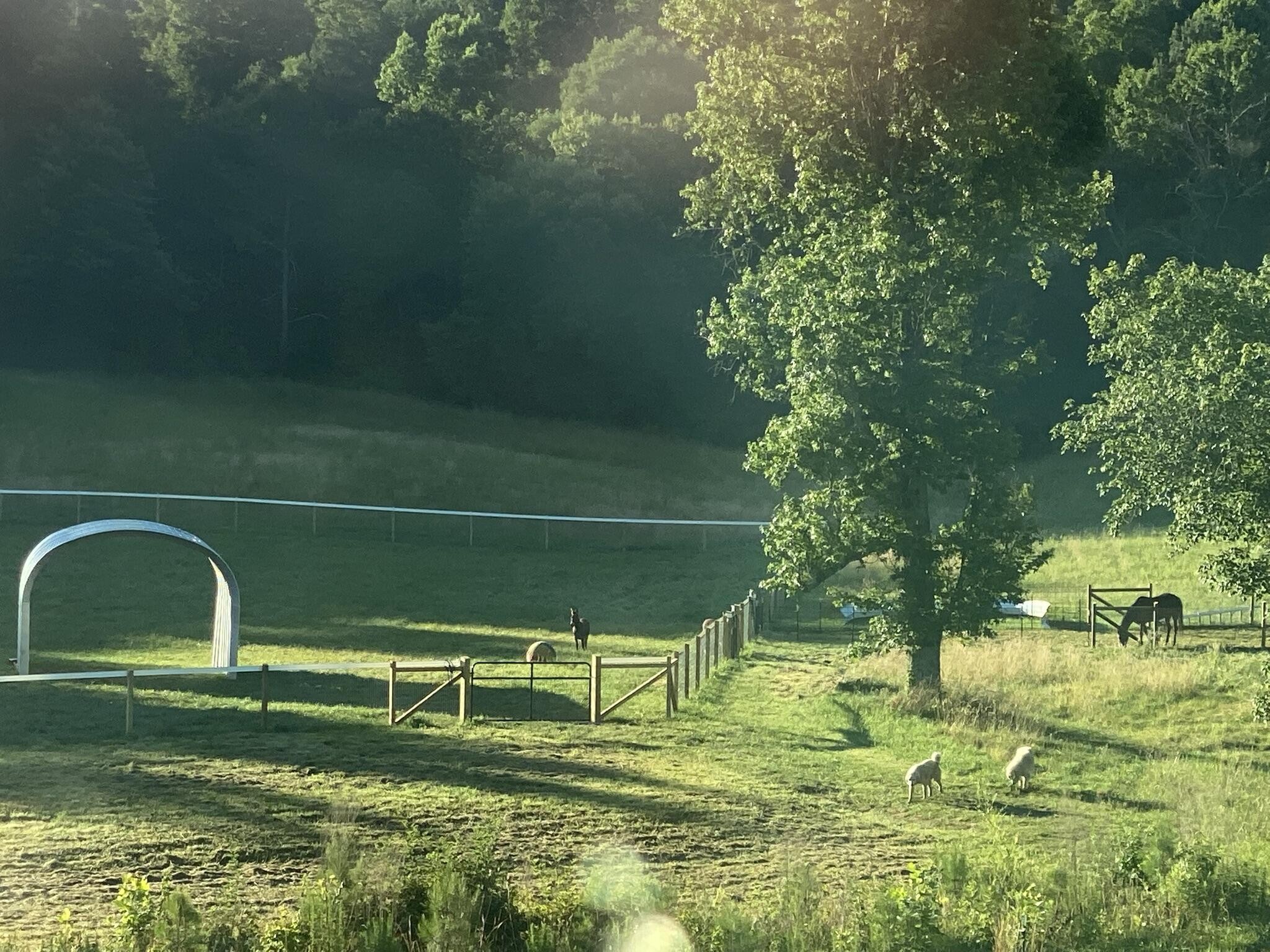 55295531 Blue Springs Road
