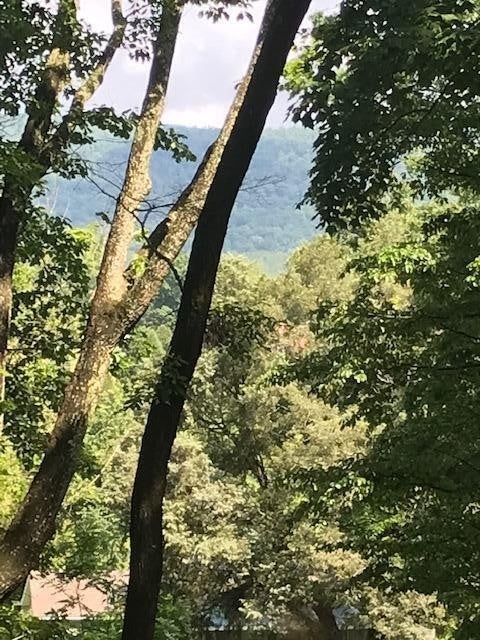 1 Piney Knob Drive