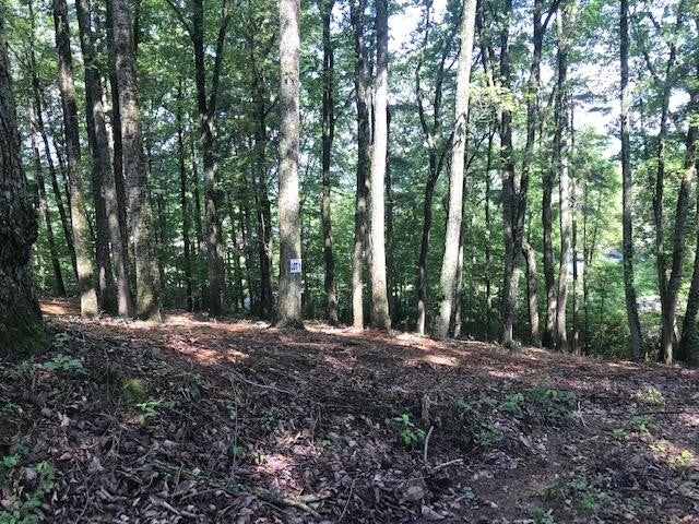 1 Piney Knob Drive