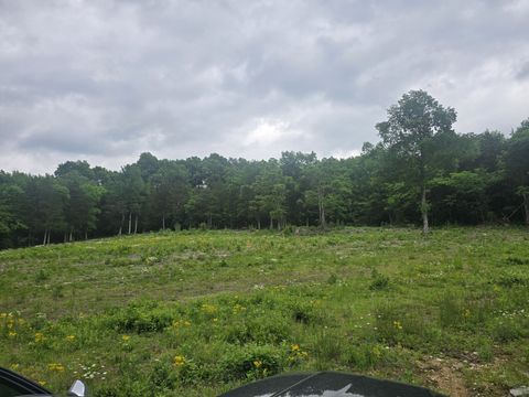 0 Tom Littlejohn Rd Columbia TN 38401