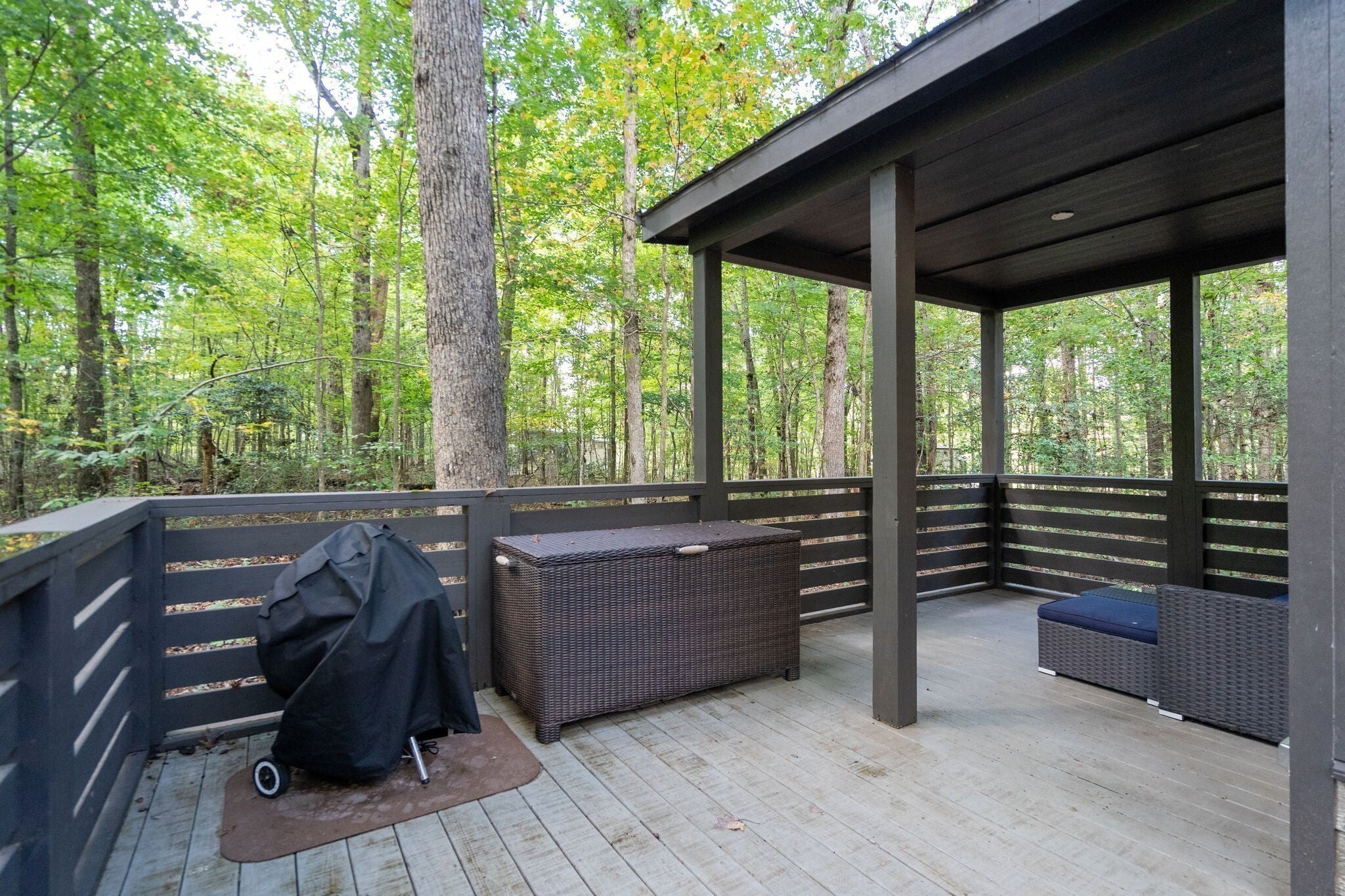 75A Deer Lick Trail
