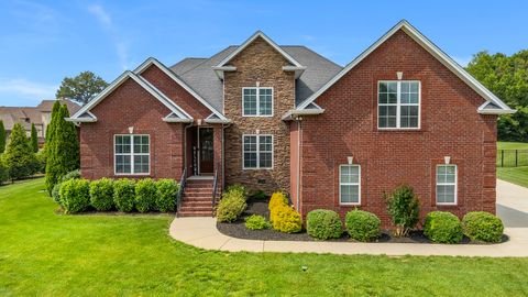 111 Renee Ct Cottontown TN 37048