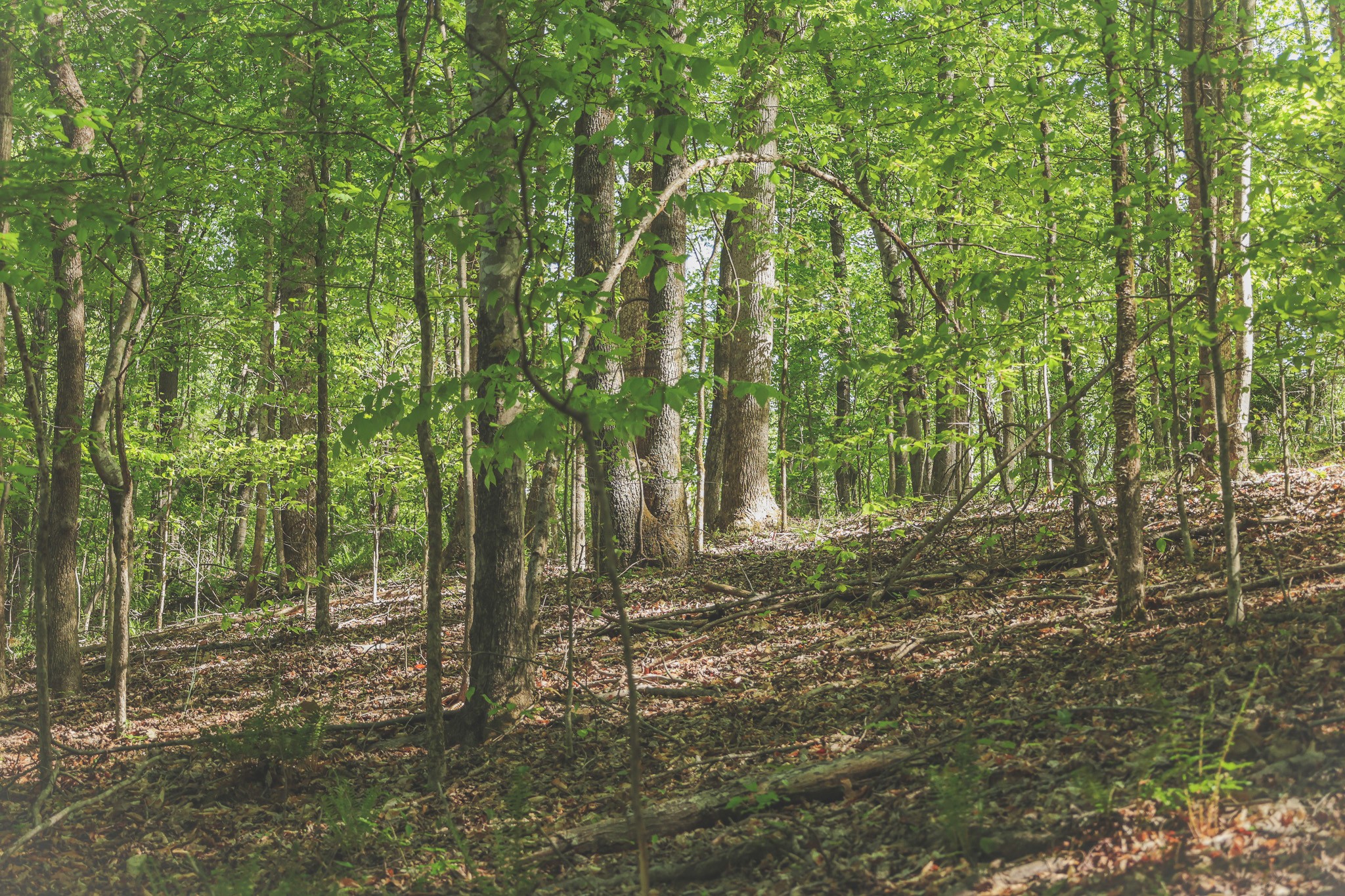 0 Highland RIdge Road