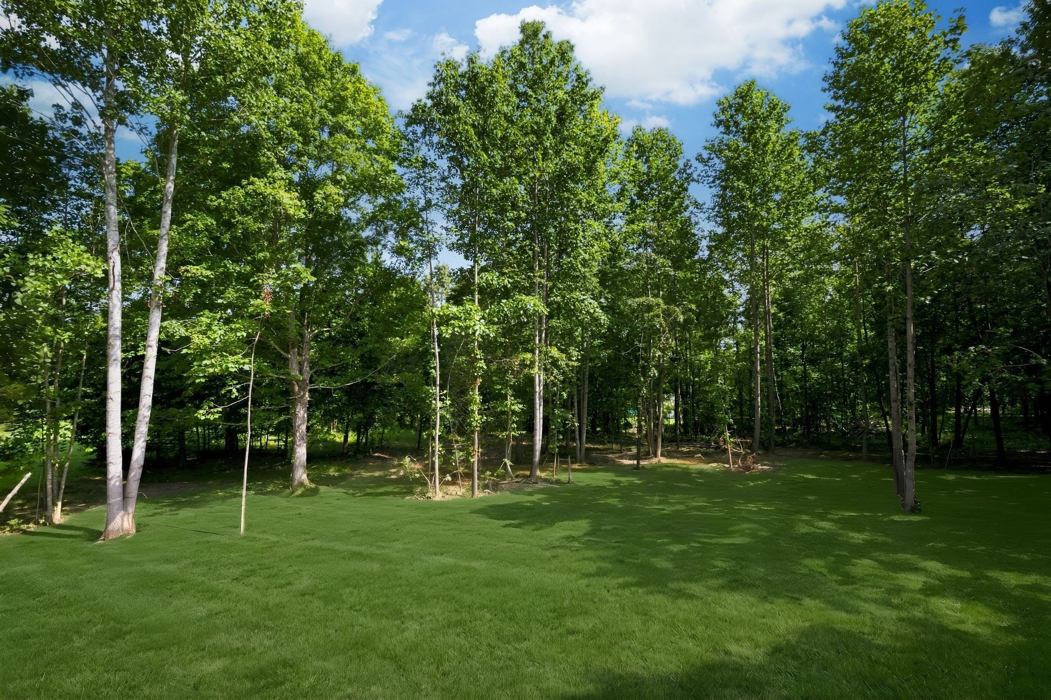 1063 Promise Land Road