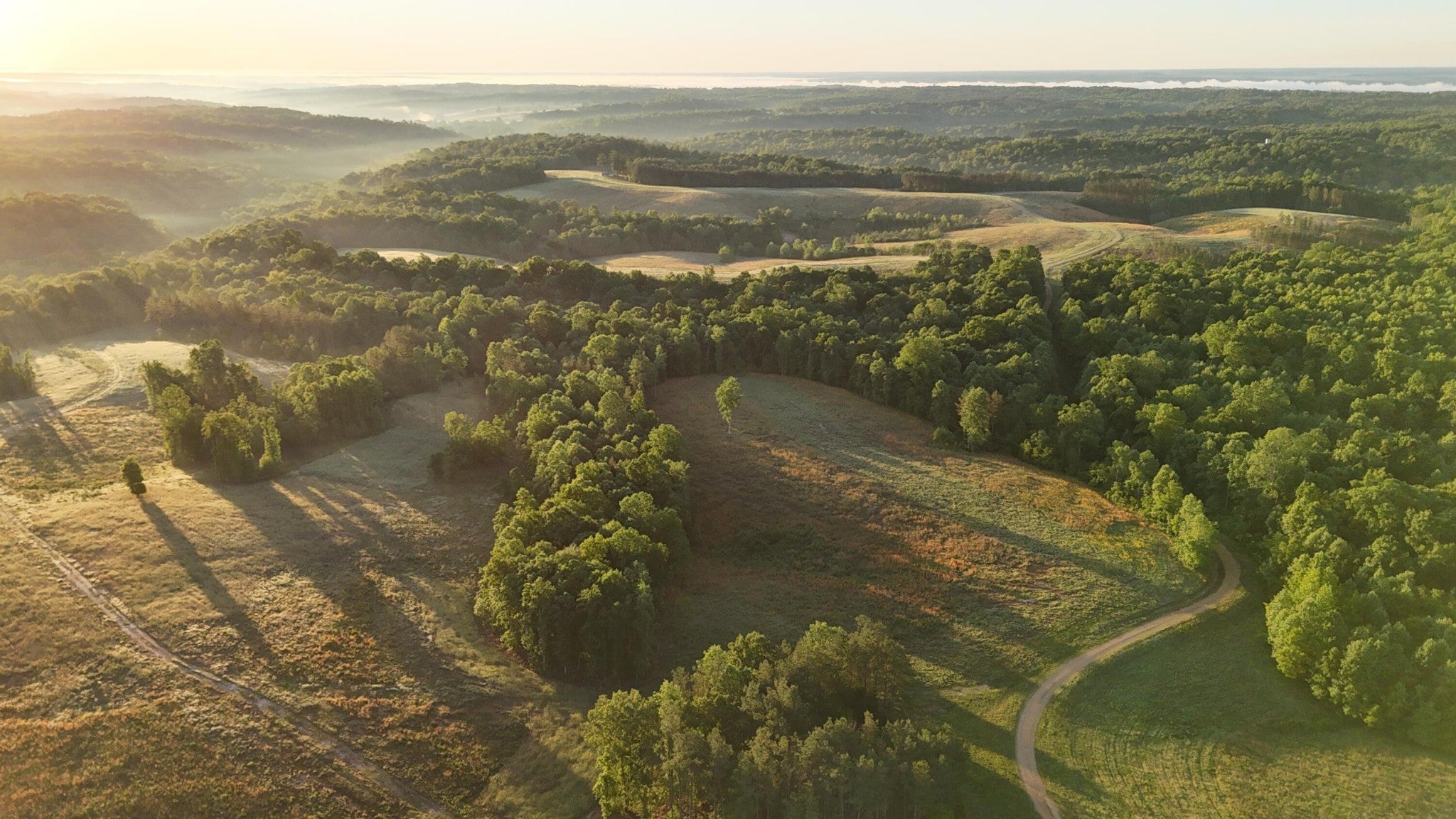 7 Mile Ridge Road