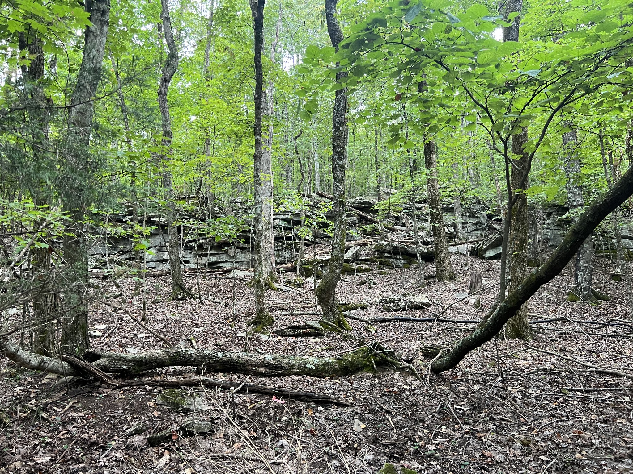 0 Sewanee Summit Rd