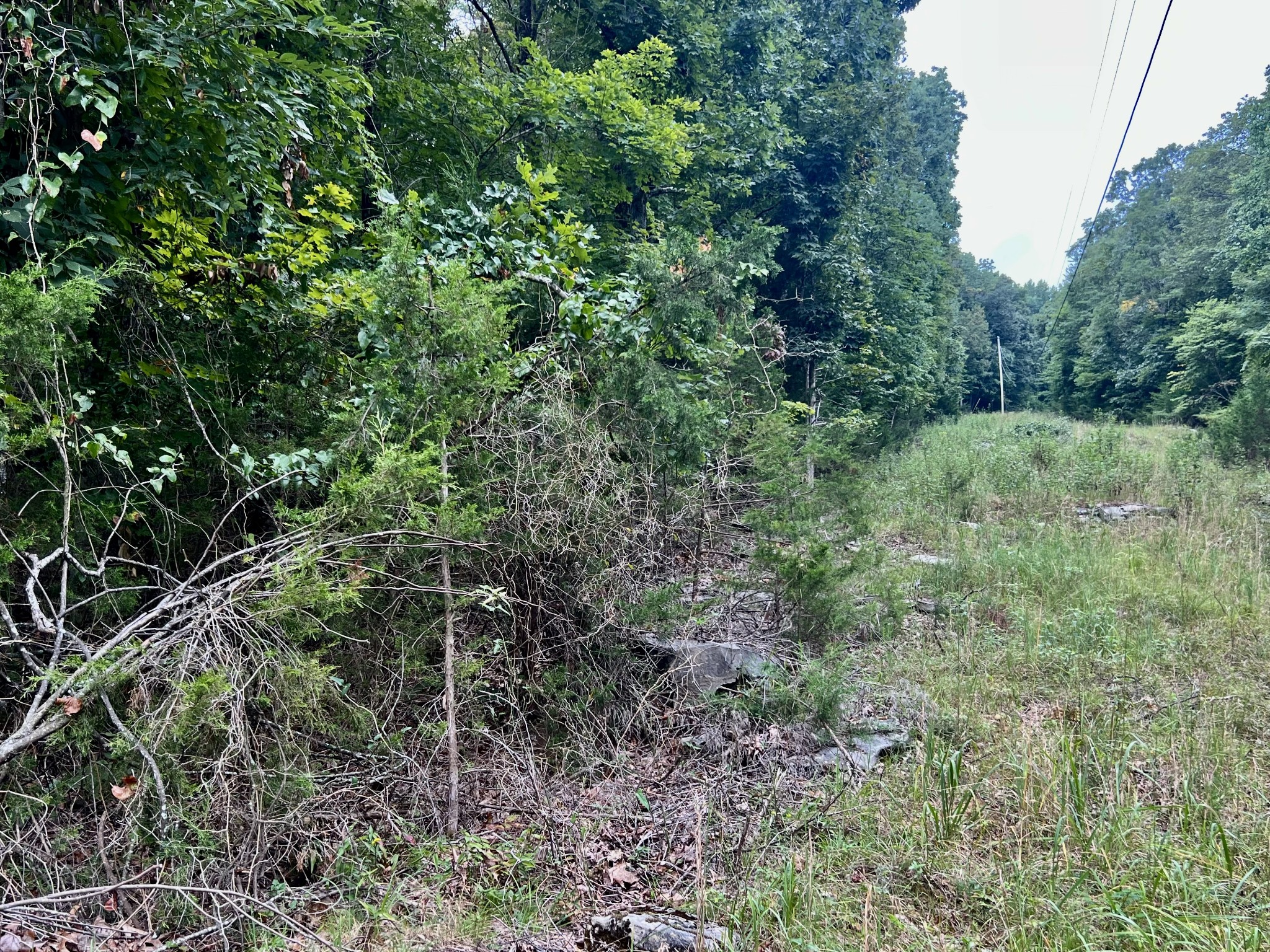 0 Sewanee Summit Rd