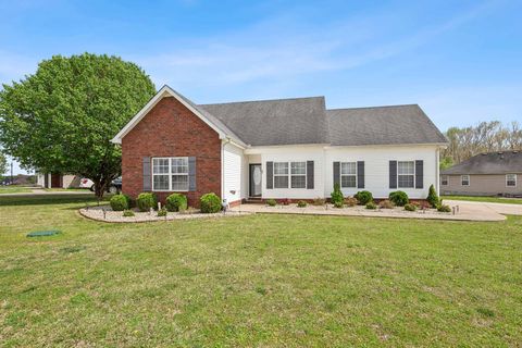 241 Slow Waters Dr Christiana TN 37037