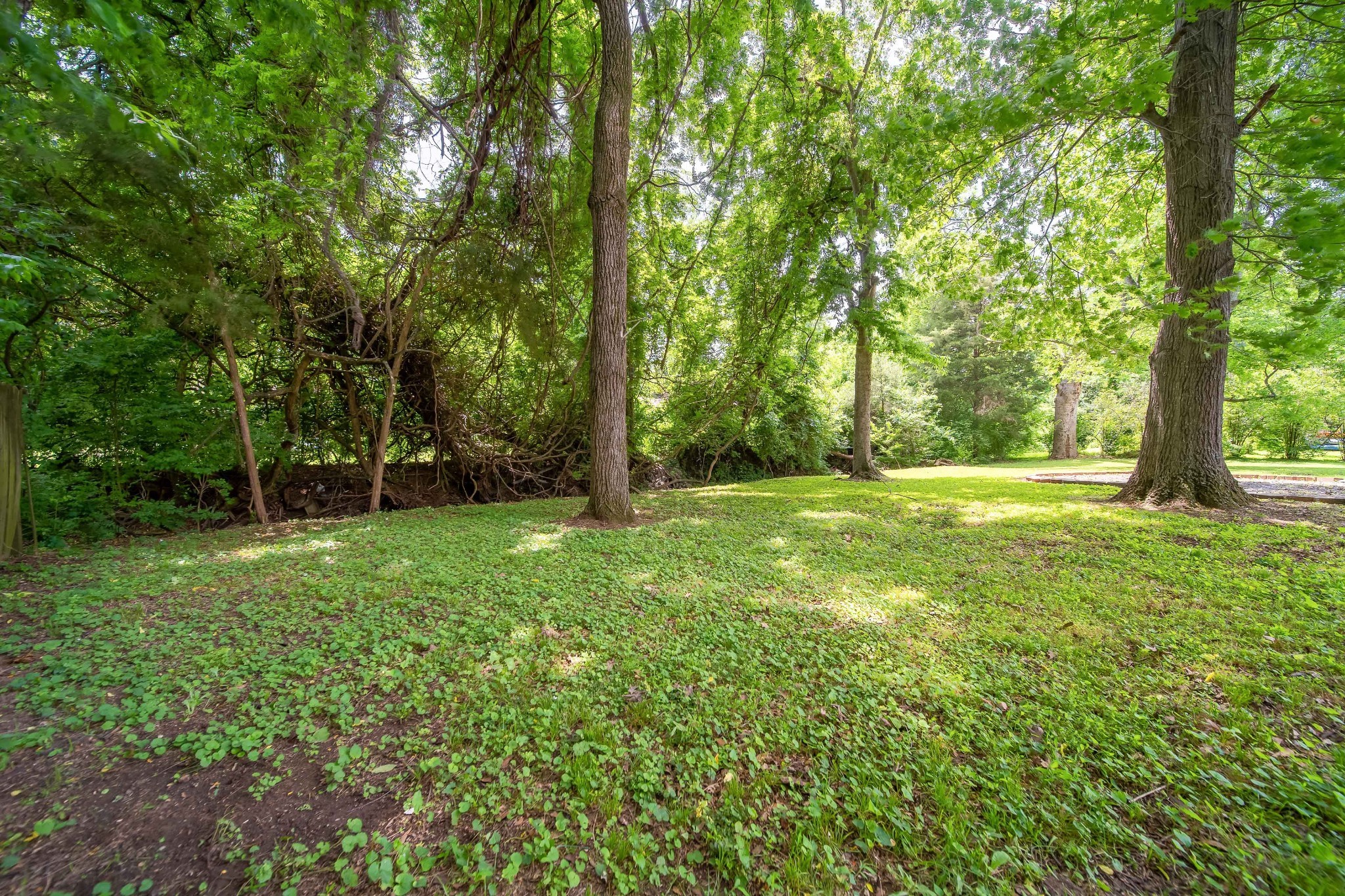 120 Donna Dr