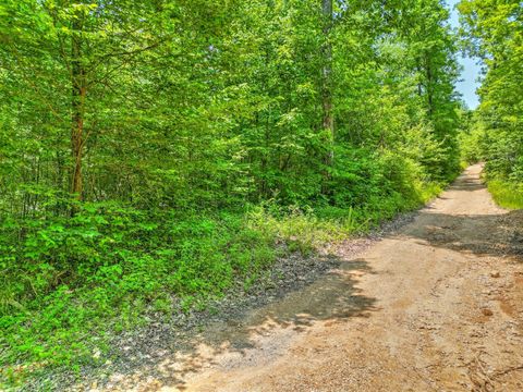 43 Ridgetop Rd Hampshire TN 38461