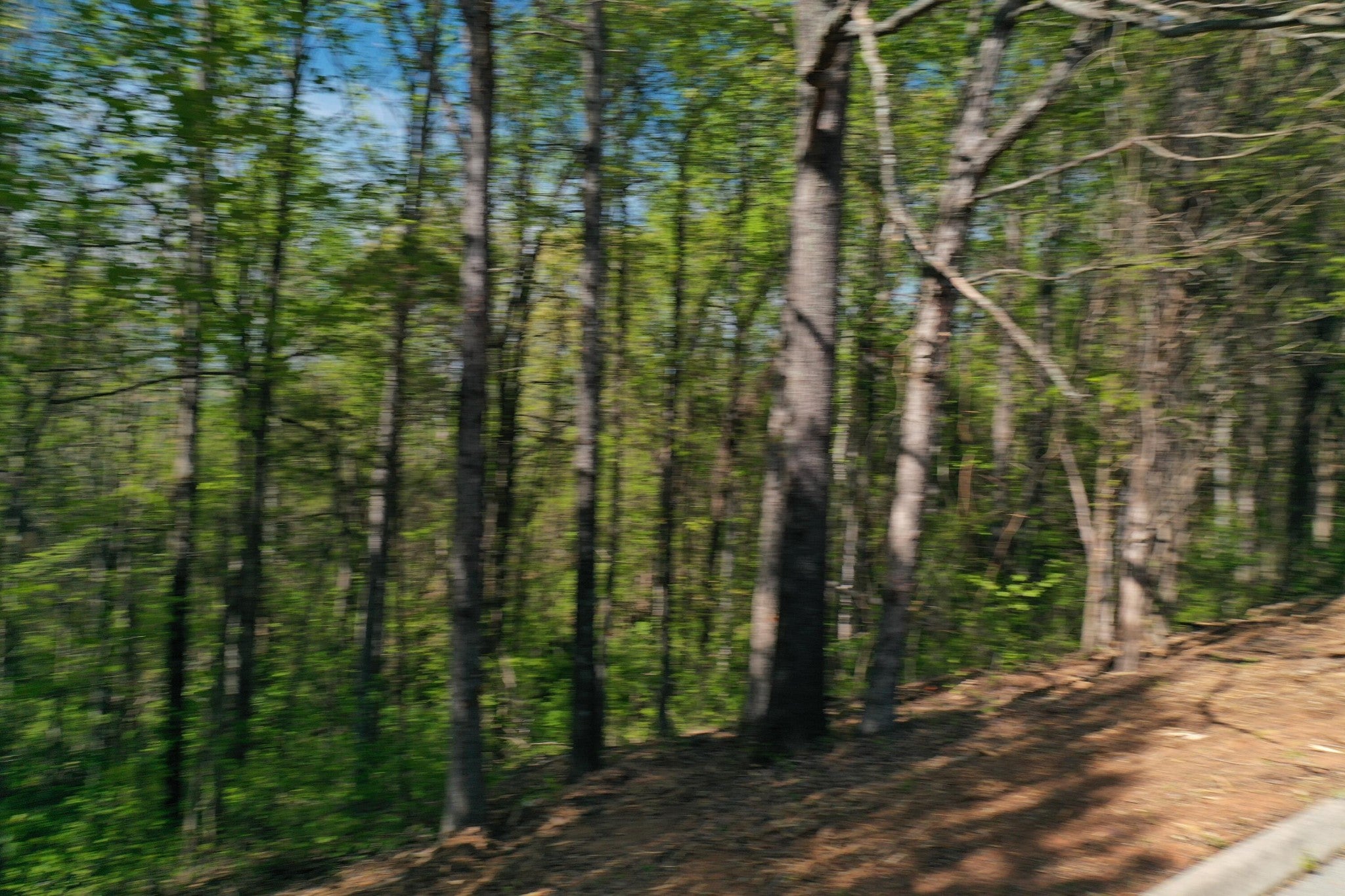 0 Elm Lane