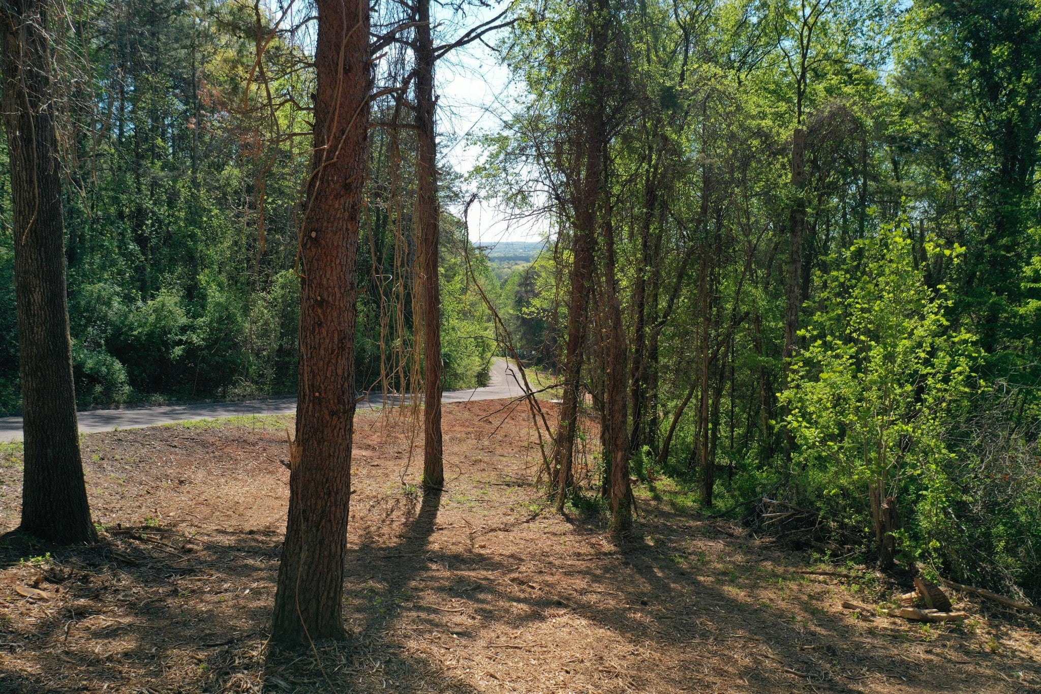0 Elm Lane