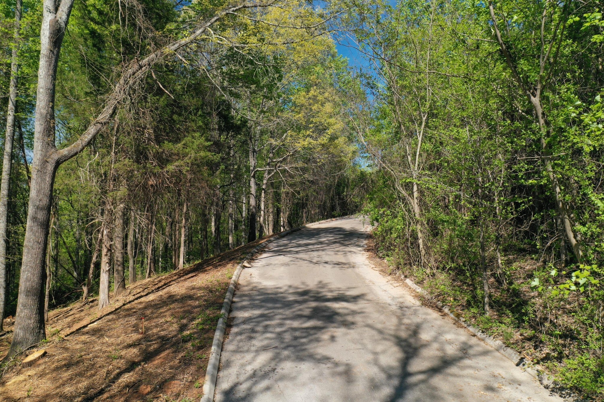 0 Elm Lane