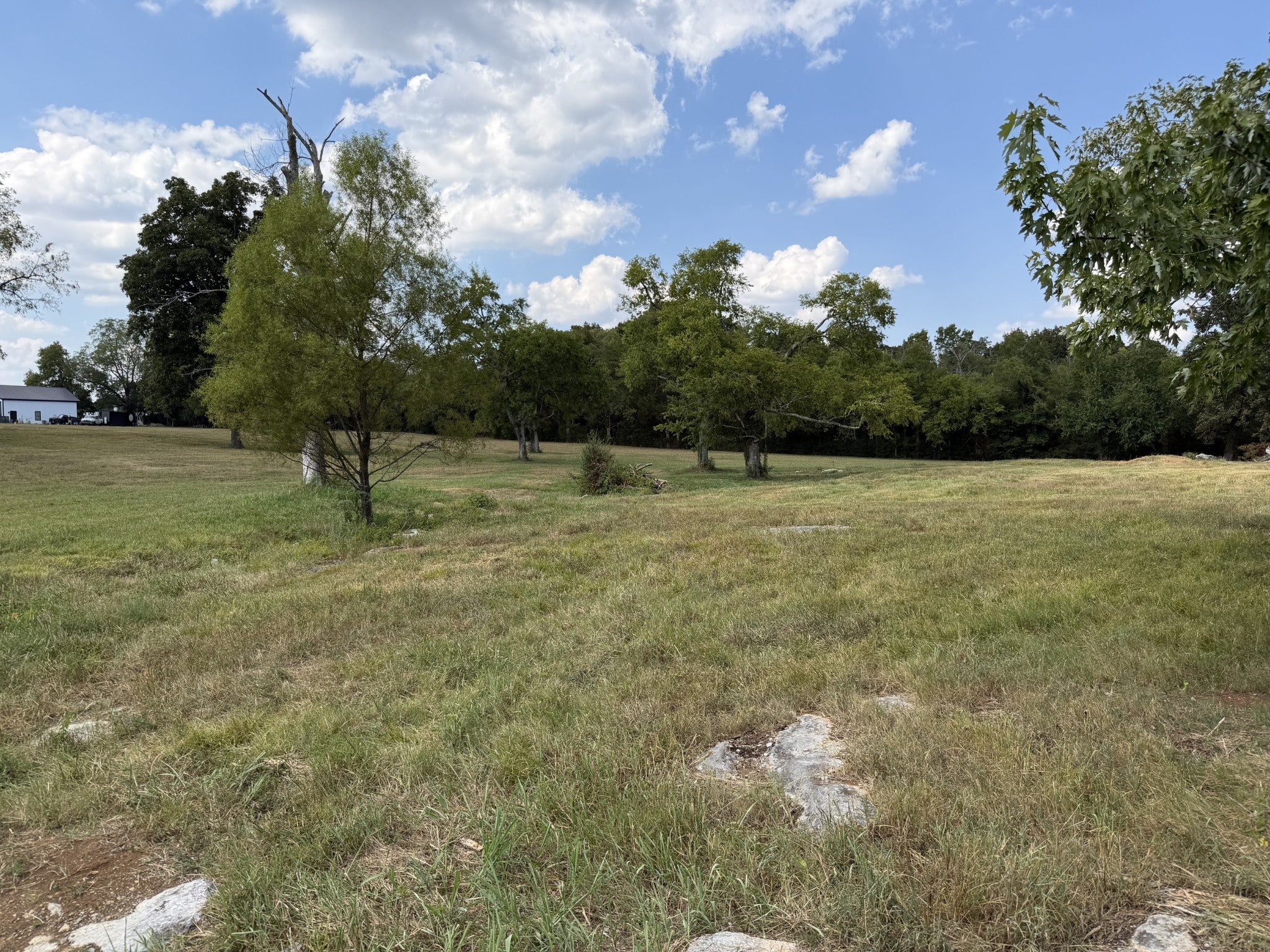 0 Midland Fosterville Rd