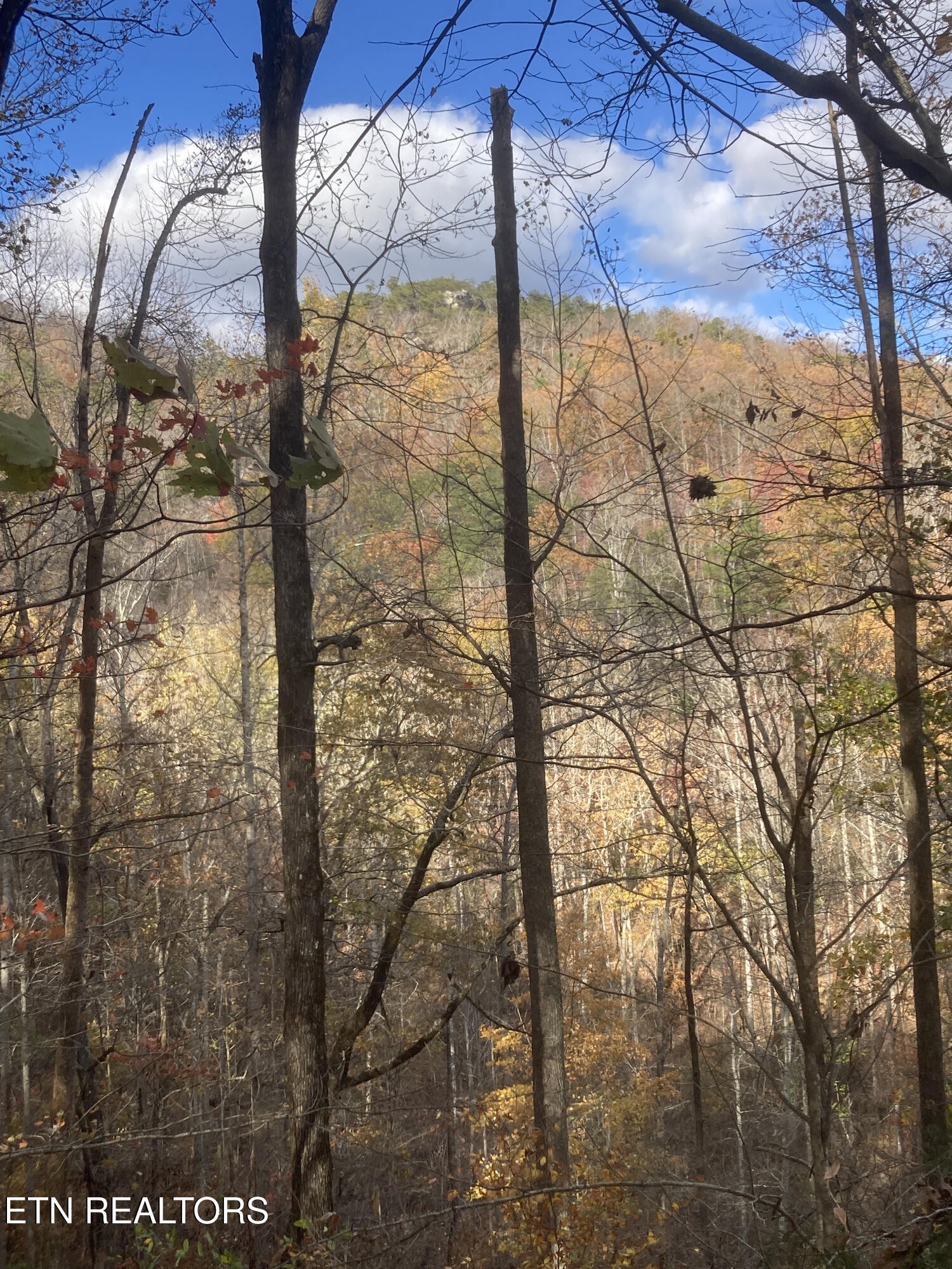 0 Old Spencer Road - 100 Acres