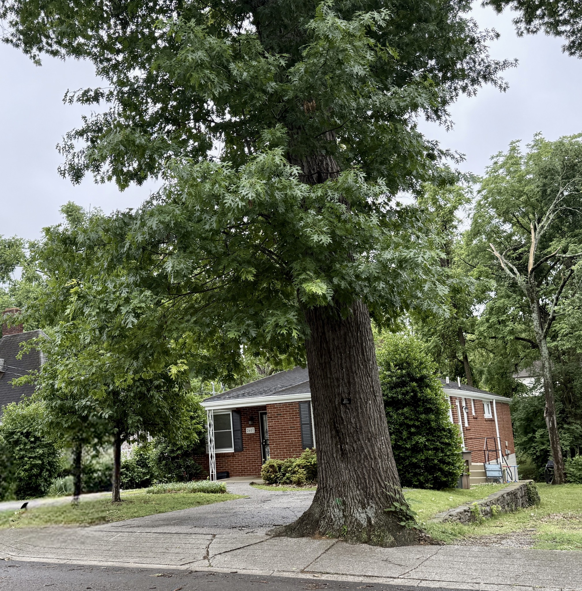 2607 W Linden Ave
