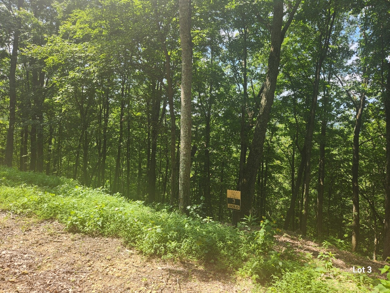 3 Savannah Dr