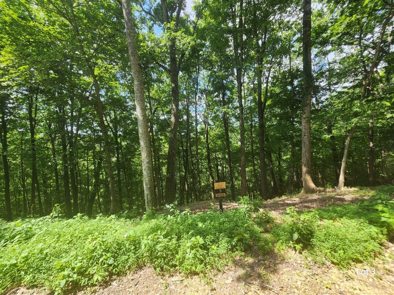 3 Savannah Dr