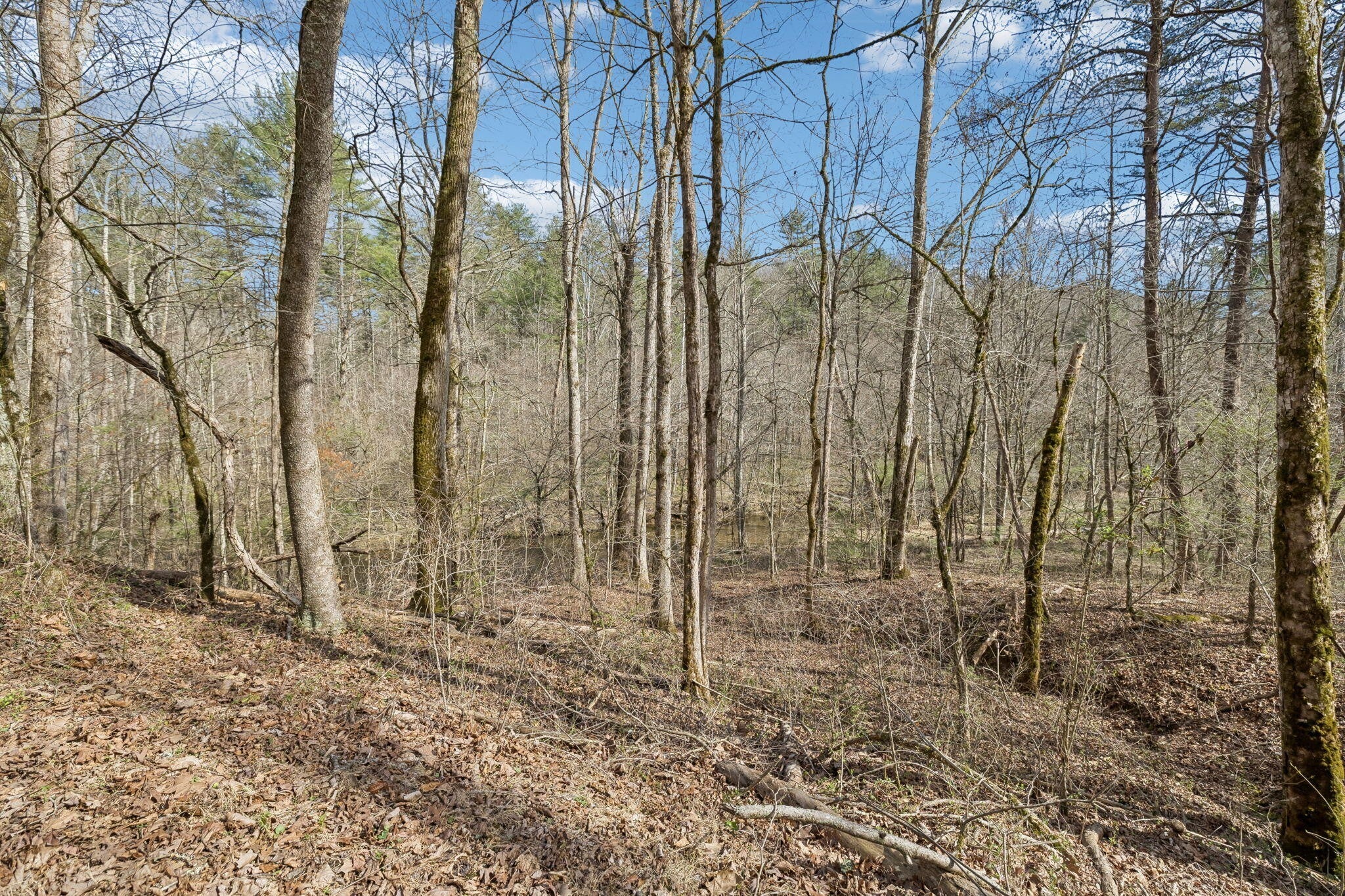 1489 Towee Pike