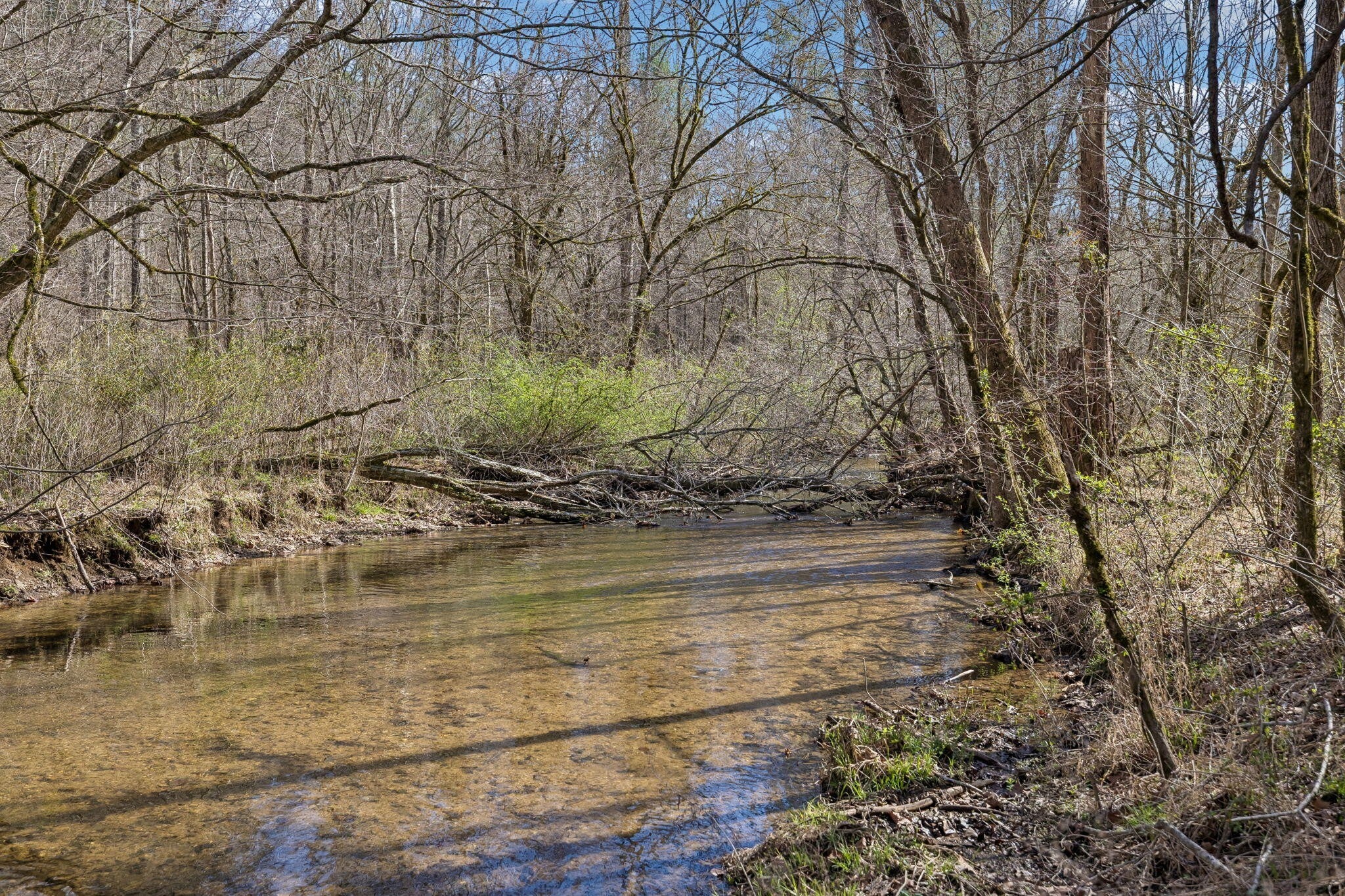 1489 Towee Pike