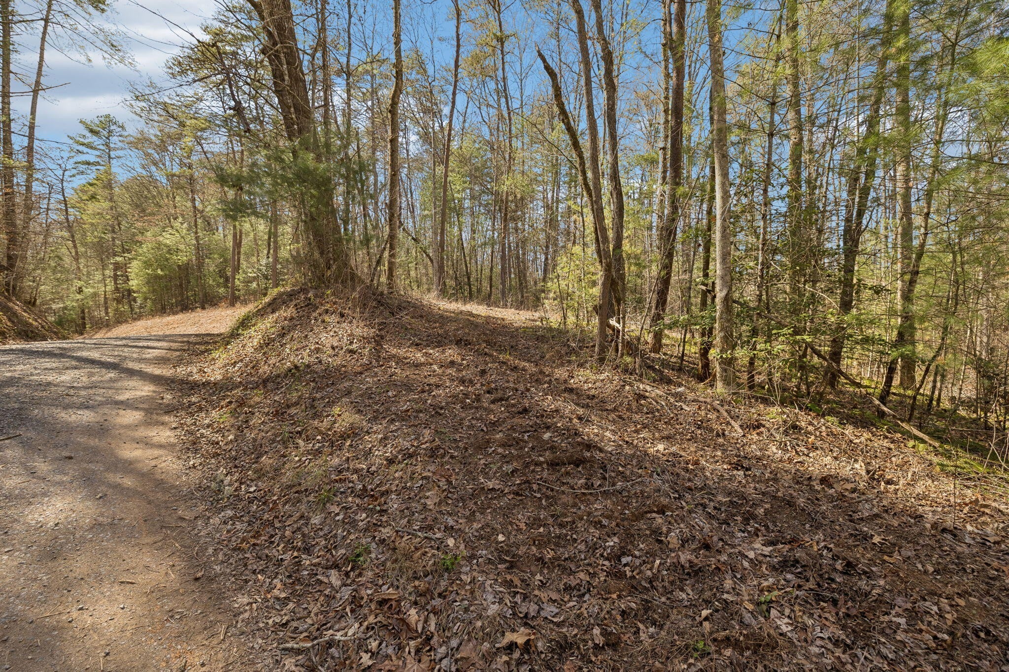 1489 Towee Pike