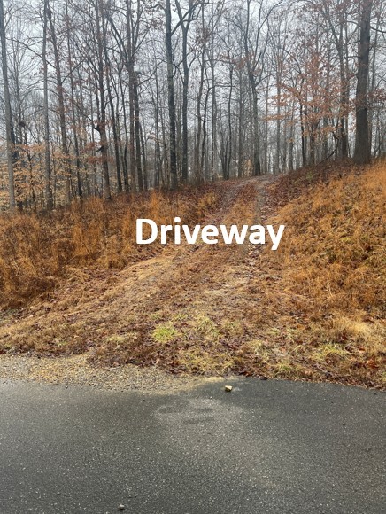 5510 Garrison Springs Ct, Franklin TN 37064 0-bed lot, photo 10 of 30