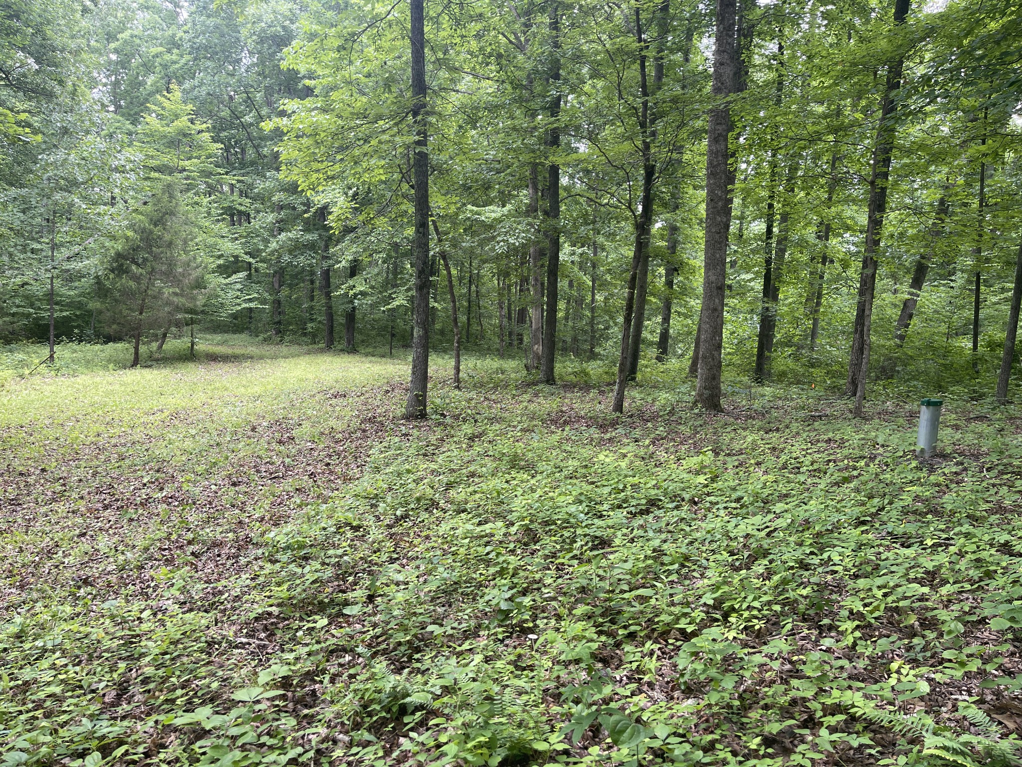 5510 Garrison Springs Ct, Franklin TN 37064 0-bed lot, photo 20 of 30