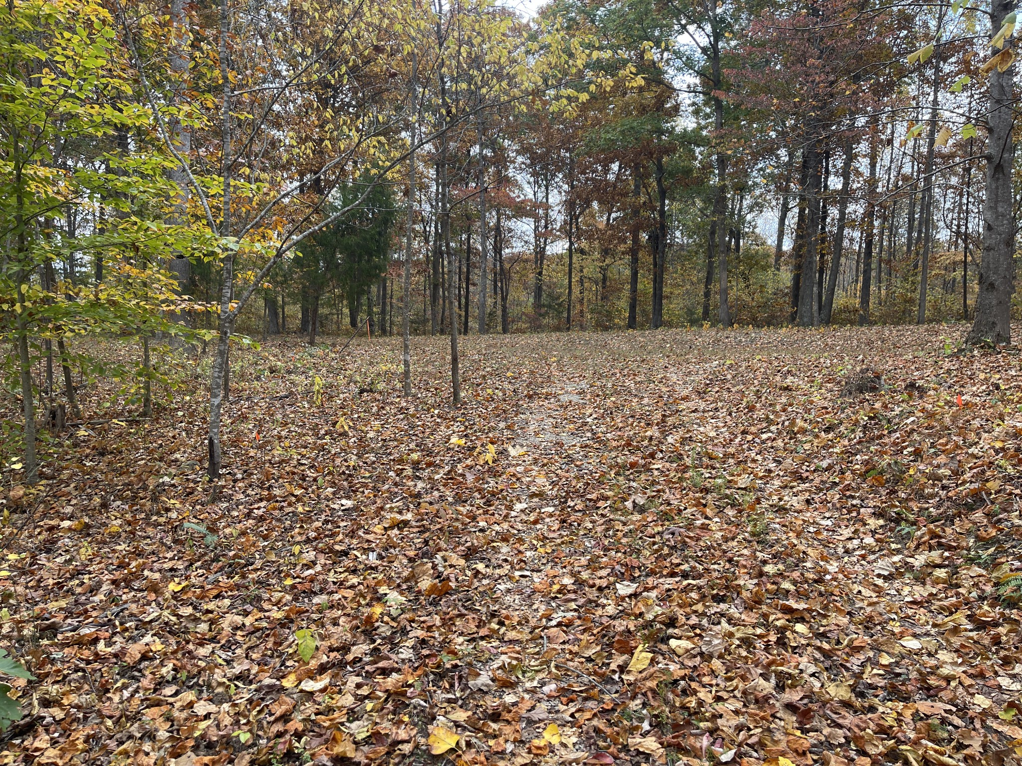 5510 Garrison Springs Ct, Franklin TN 37064 0-bed lot, photo 25 of 30
