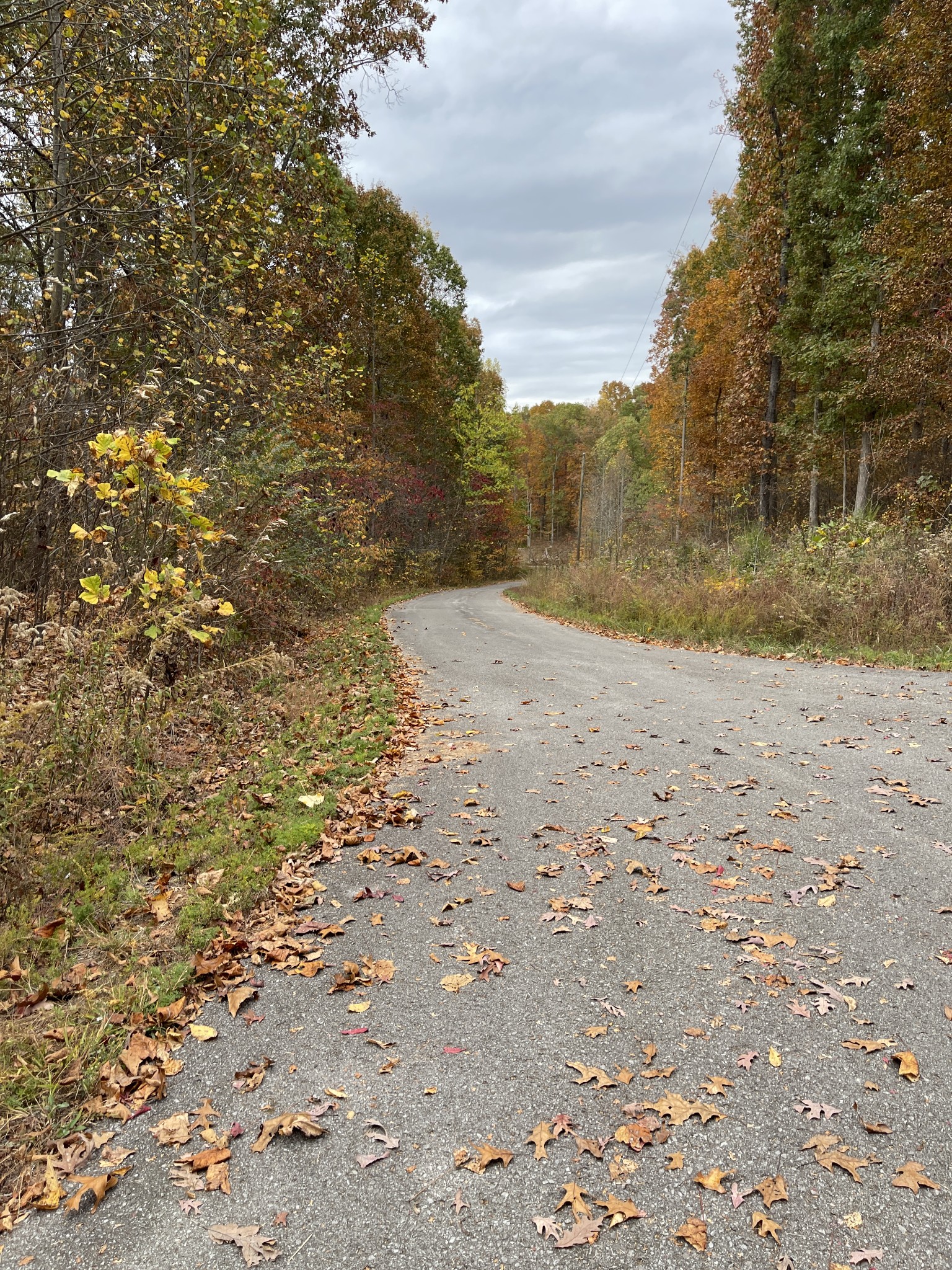 5510 Garrison Springs Ct