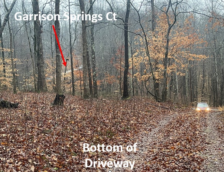 5510 Garrison Springs Ct, Franklin TN 37064 0-bed lot, photo 12 of 30