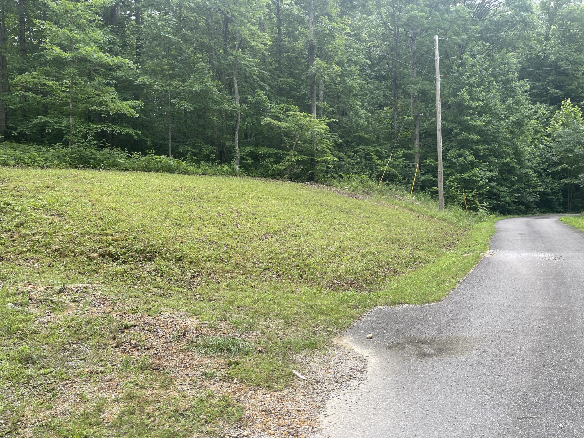 5510 Garrison Springs Ct, Franklin TN 37064 0-bed lot, photo 9 of 30