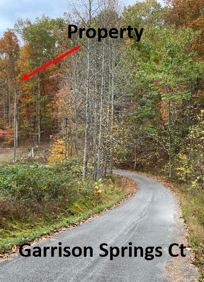 5510 Garrison Springs Ct