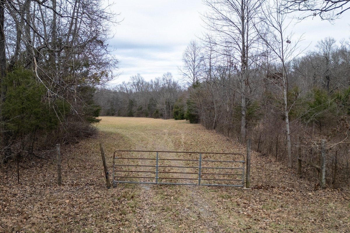 447 Sanders Ln
