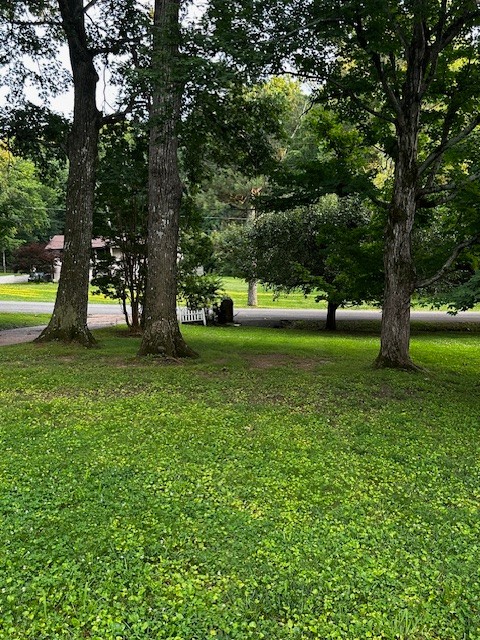 1003 Bellwood Dr