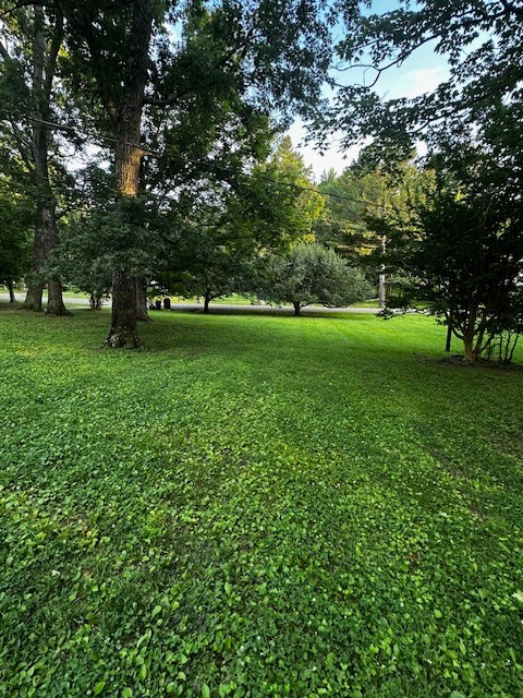 1003 Bellwood Dr