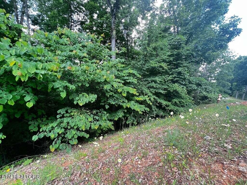1955 Turners Landing Rd