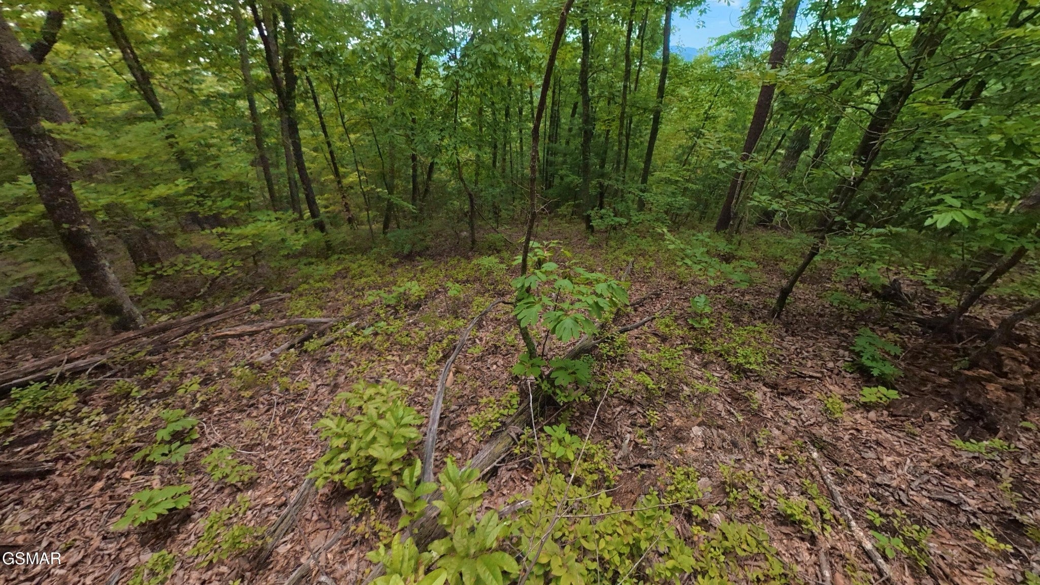 43 Shady Oaks Way