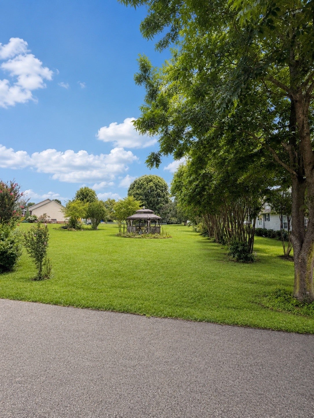 118 Steeplechase Dr