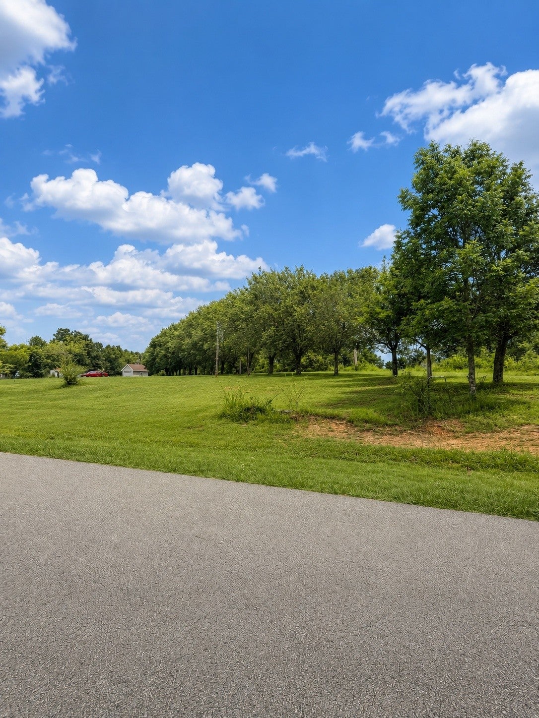 118 Steeplechase Dr