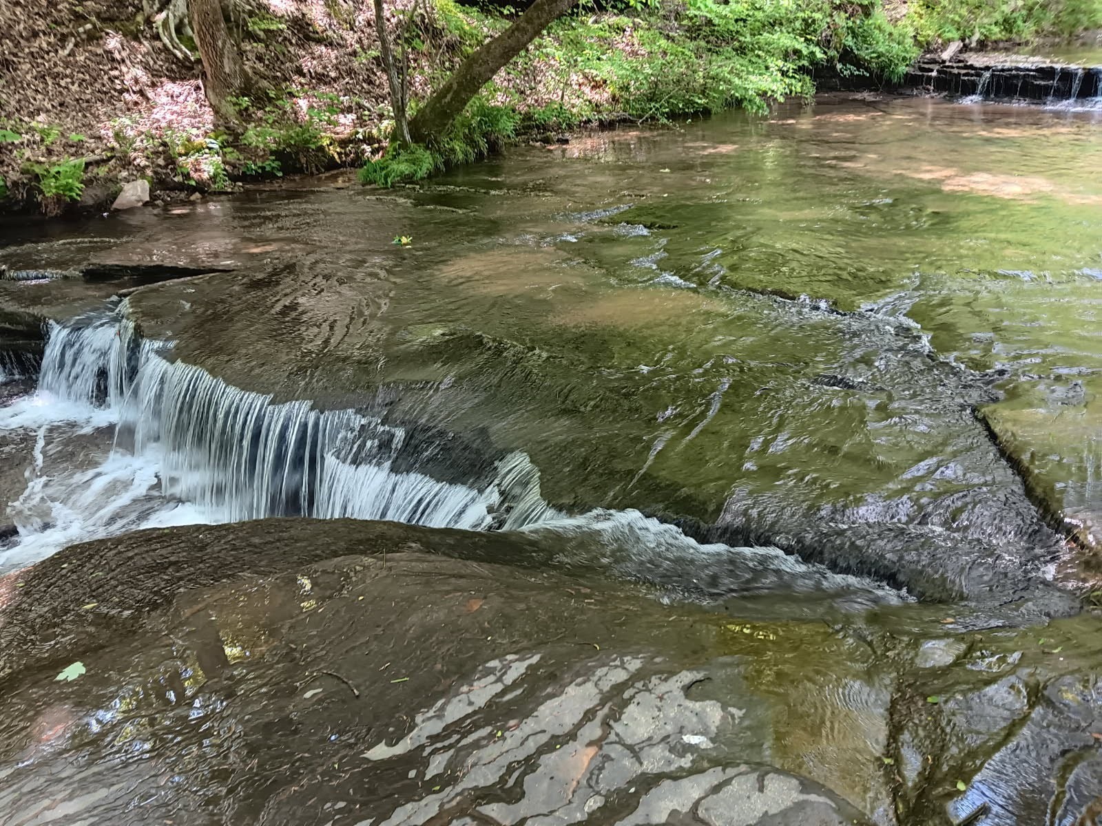 2073 Choates Creek Rd