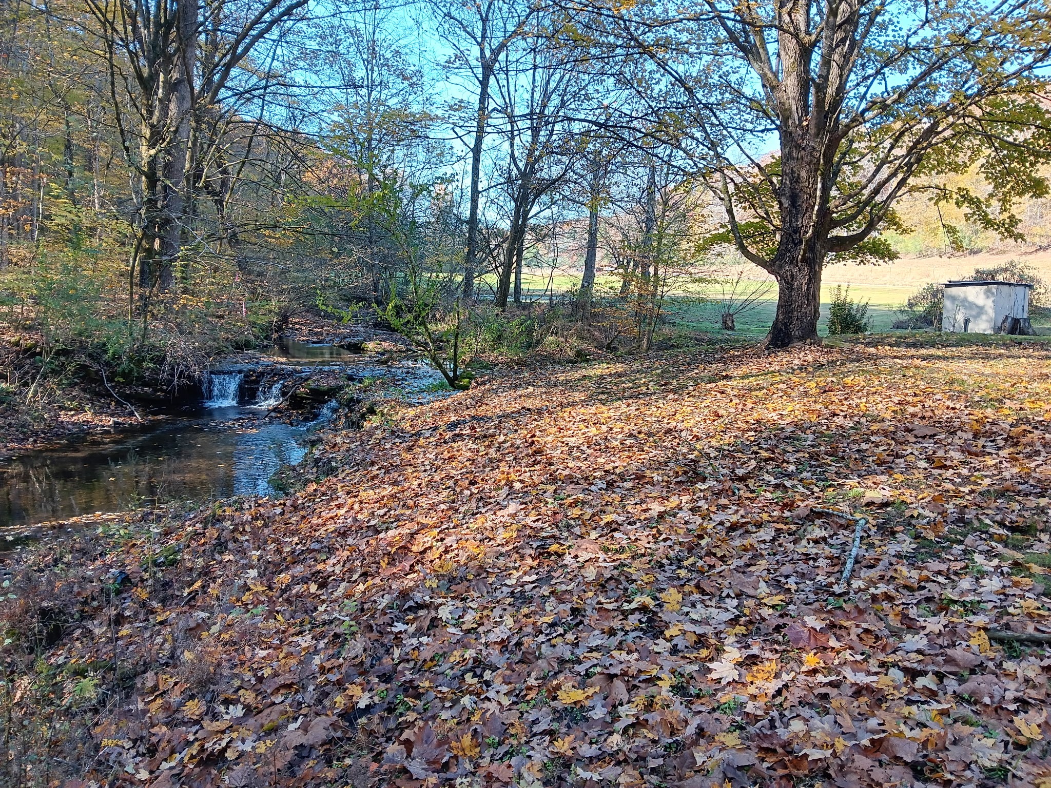 2073 Choates Creek Rd