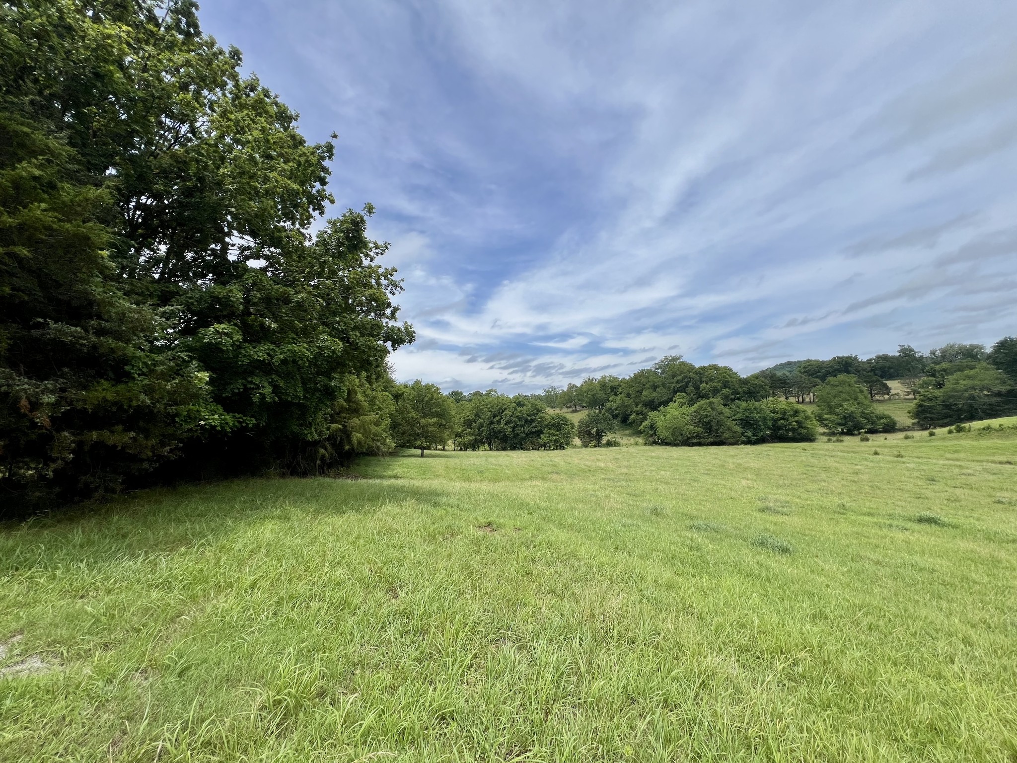 Middle Tennessee Properties 4 117 Cornersville Access Rd