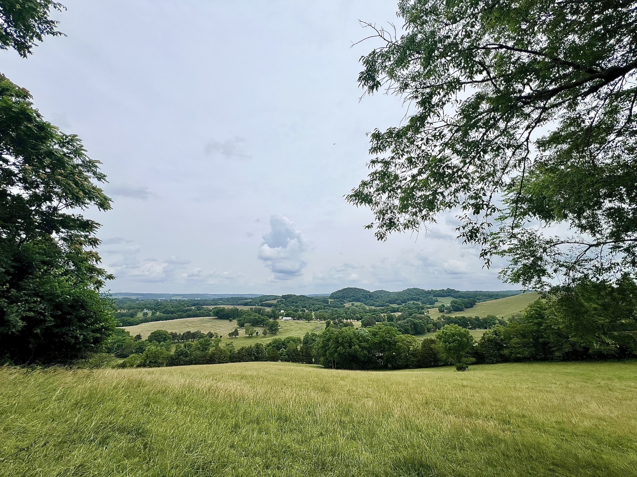 Middle Tennessee Properties 2 117 Cornersville Access Rd